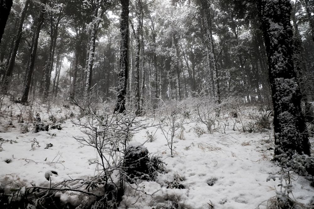 Photograph by Sandeep K Pande