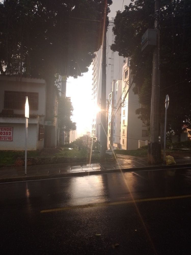 Photo #8484713