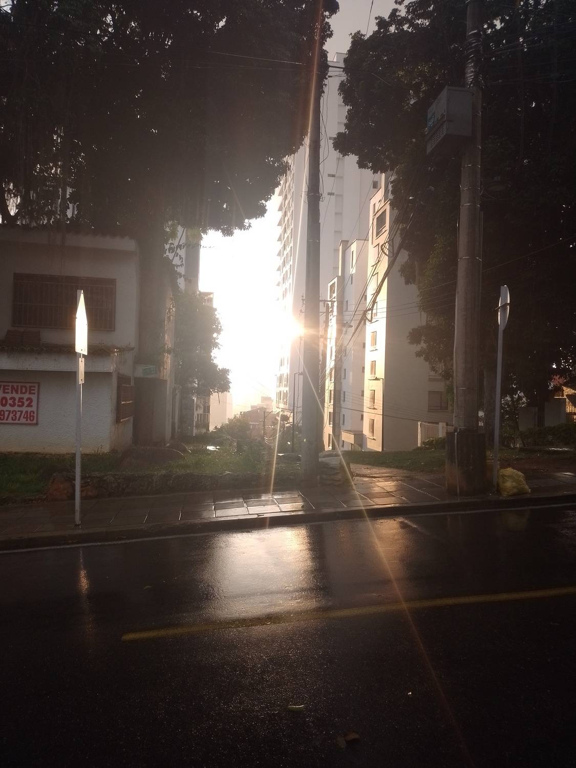 Photo #8484713