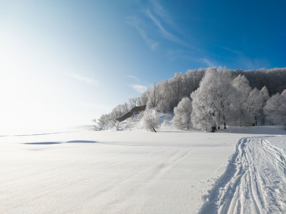 Фотография автора Александр Андреянов
