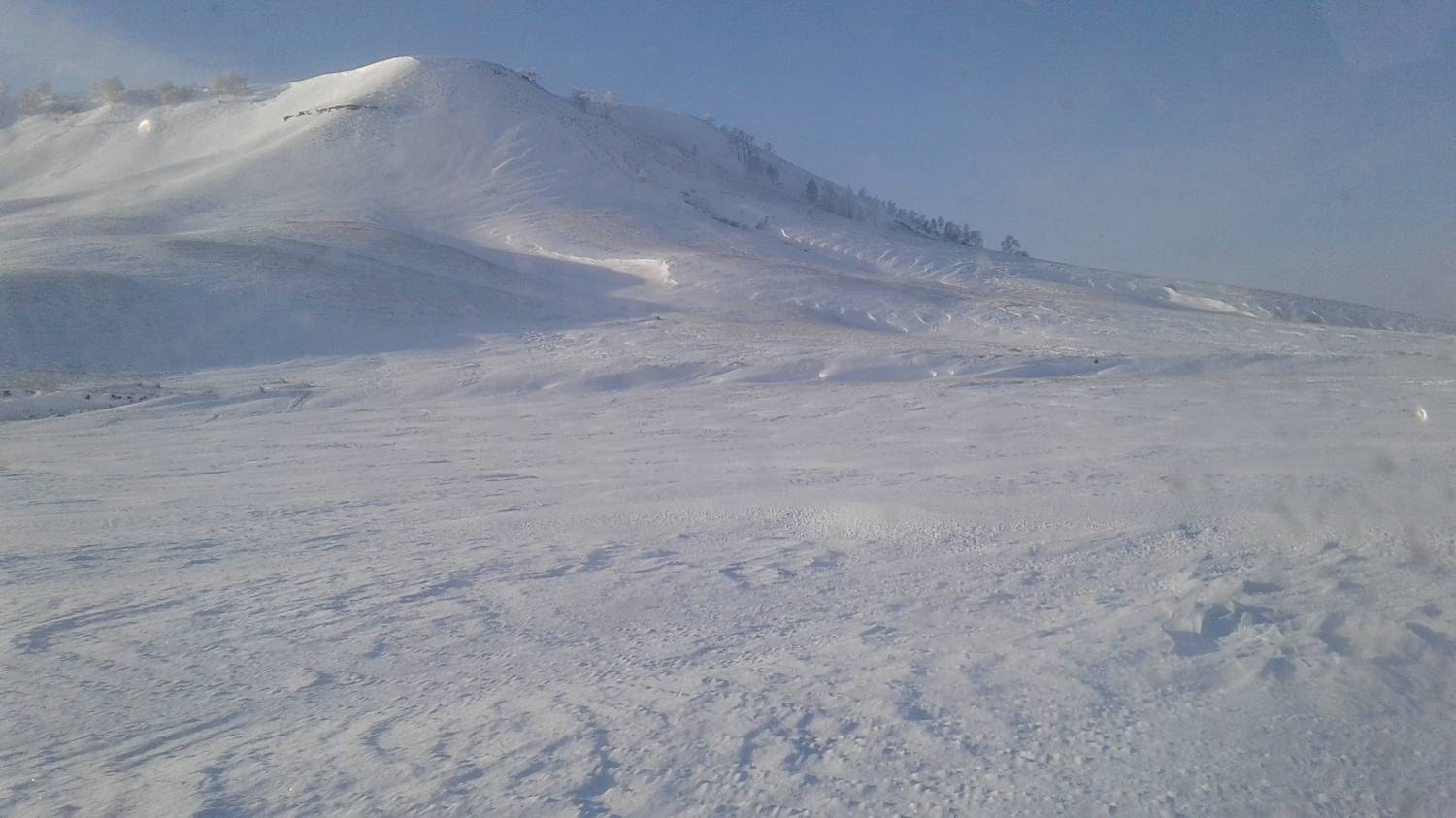 Photo #8484745