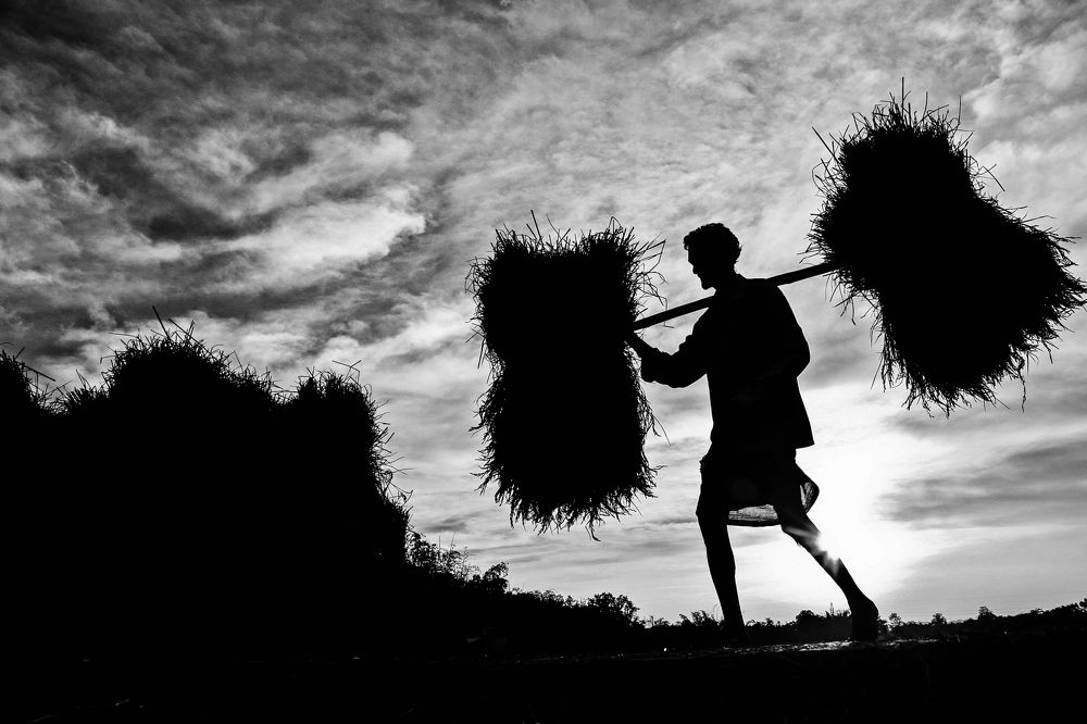 Photograph by SRIMANTA RAY