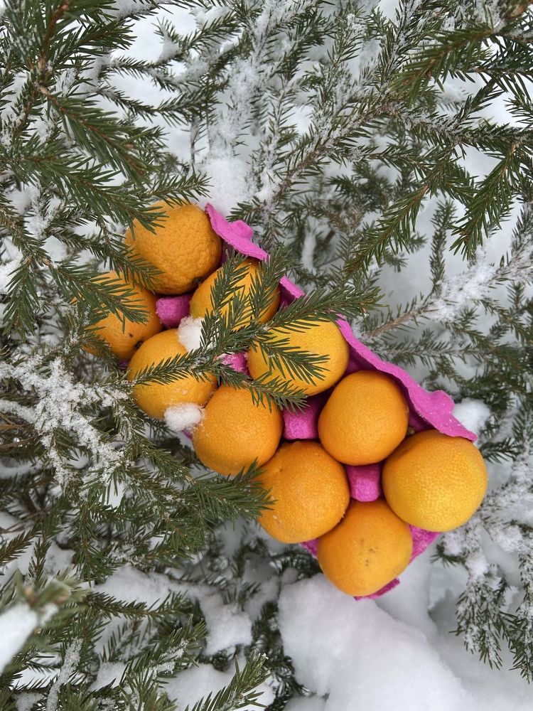 Photograph by Оксана Смородина