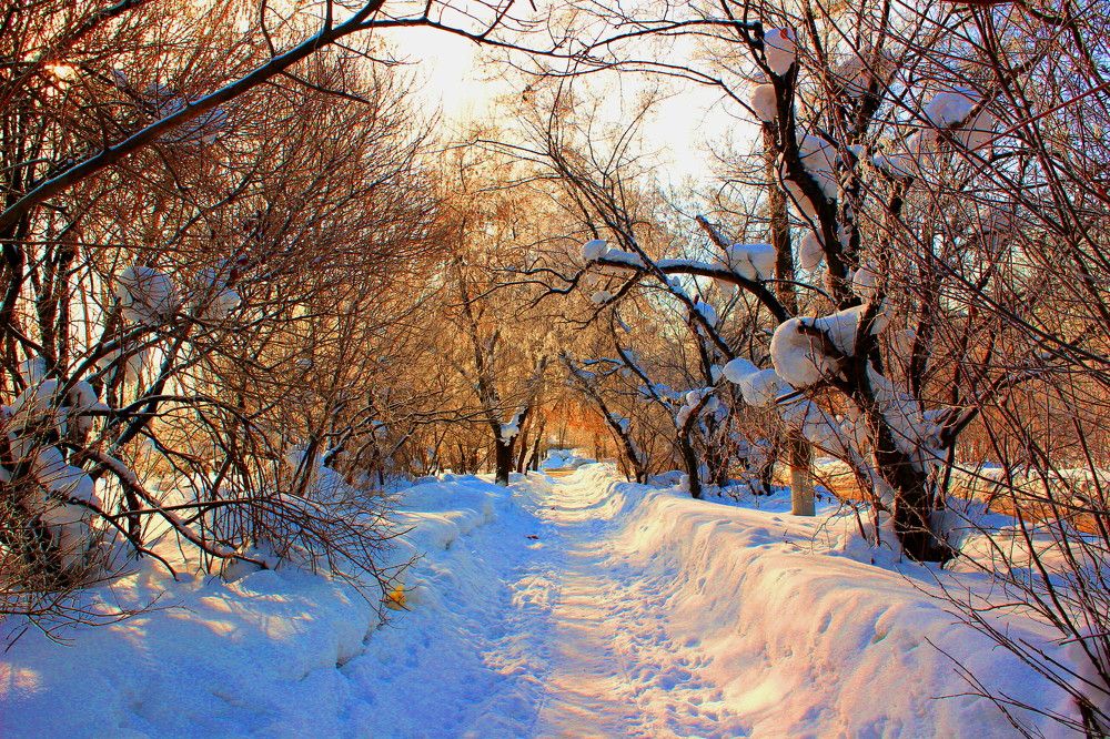 Photograph by салим насыпов