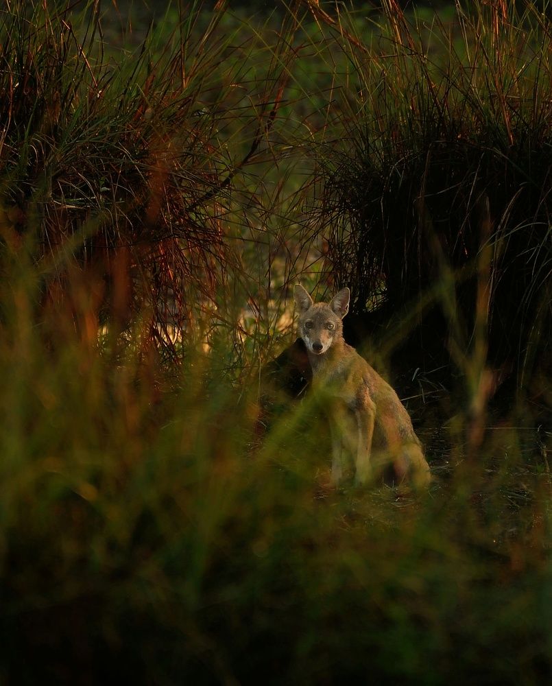 Photograph by George S George