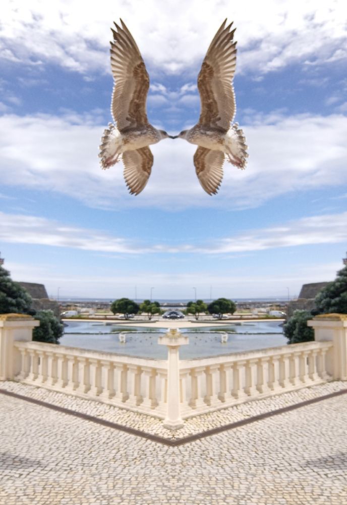 Атлантика и много чаек.