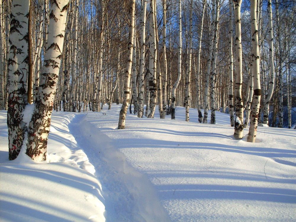 Photograph by салим насыпов