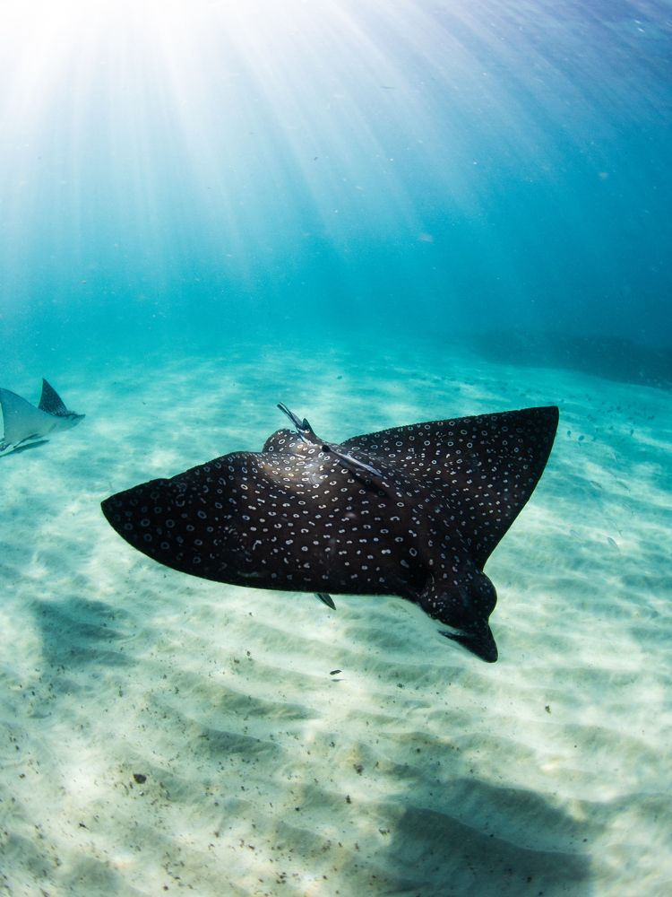 Photograph by Victor Bezerra