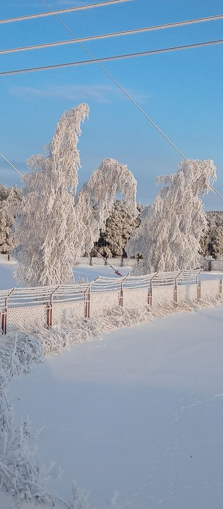 Photo #8484812