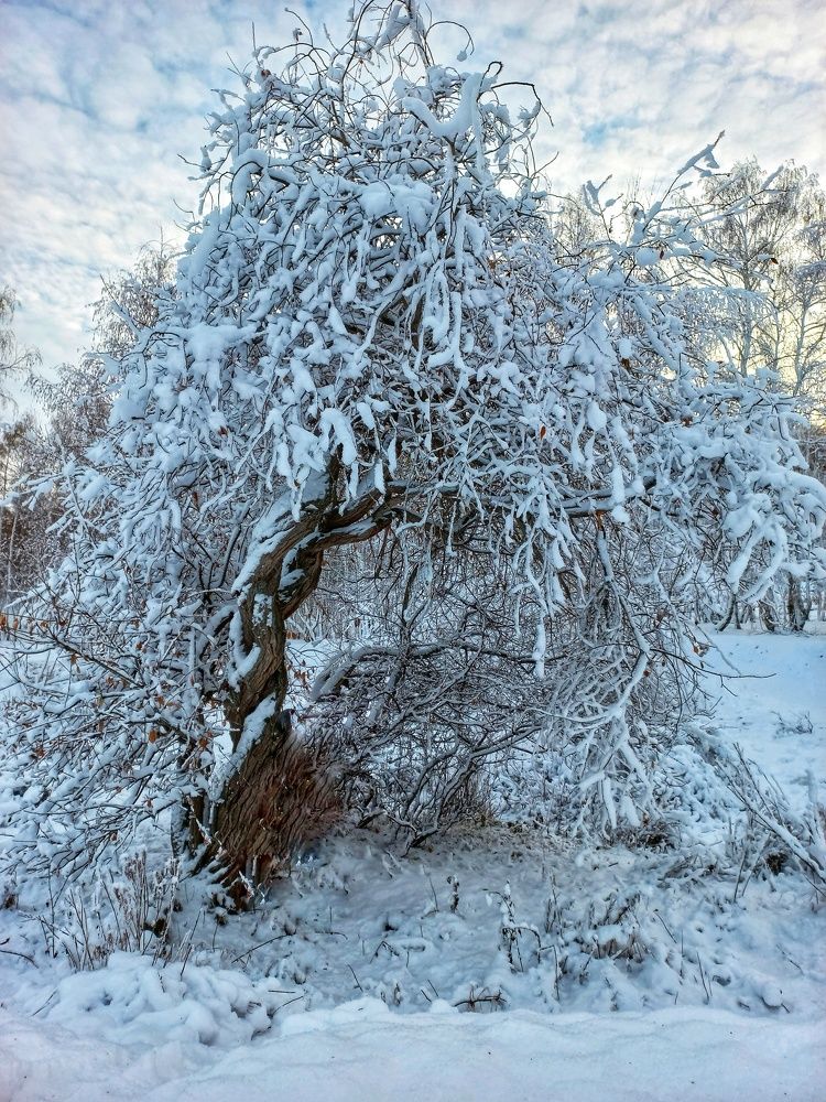 Photograph by Александра Королёва