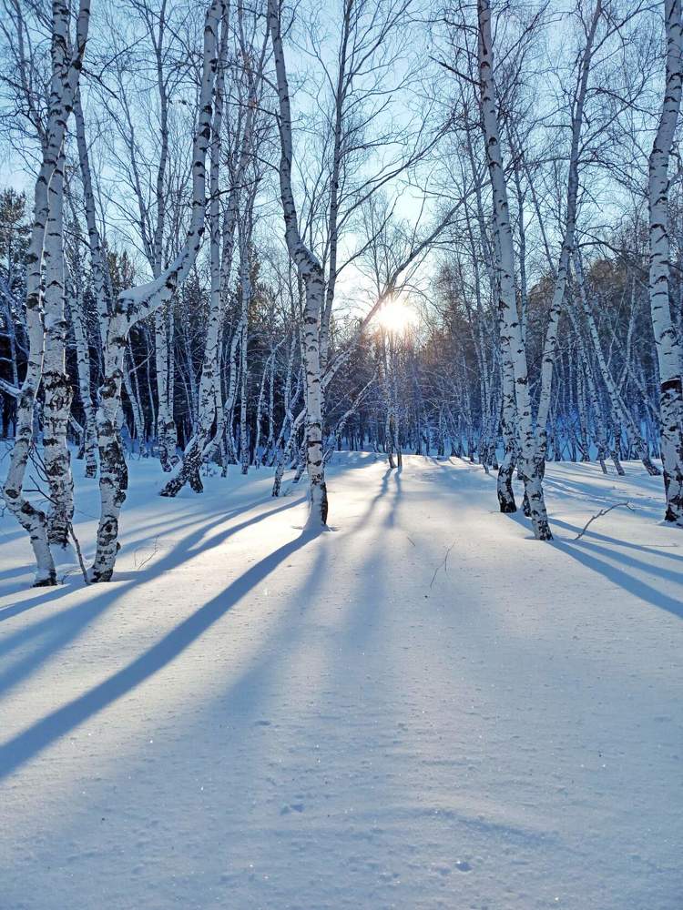 Photograph by Александра Королёва