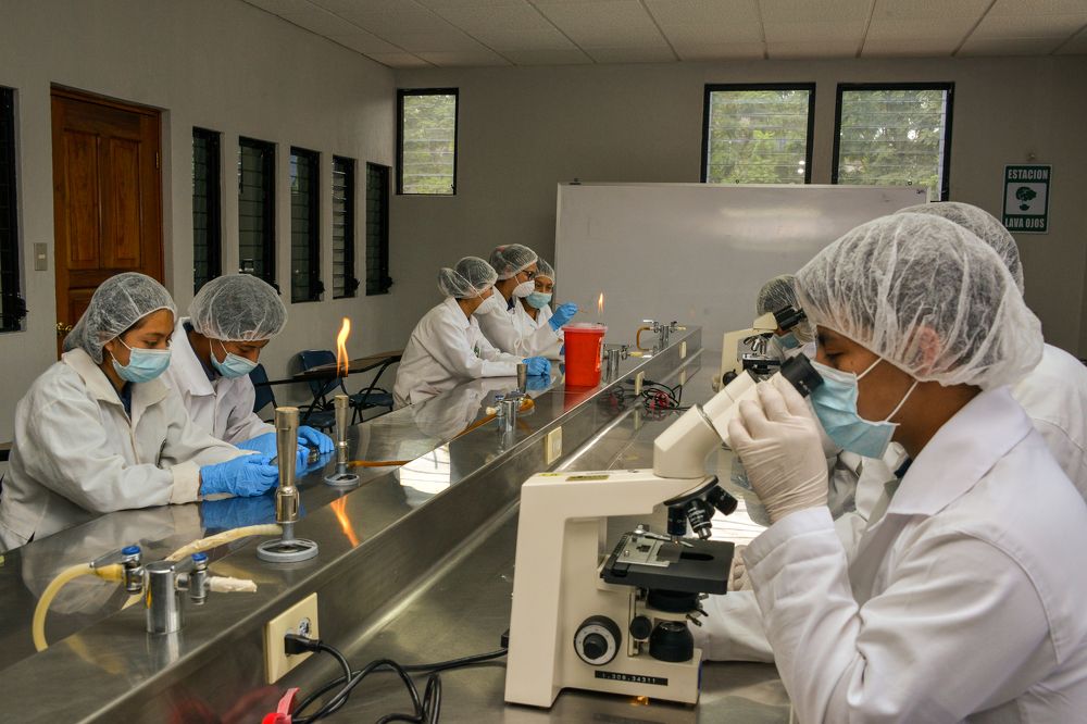 Photograph by Juan José Rodas