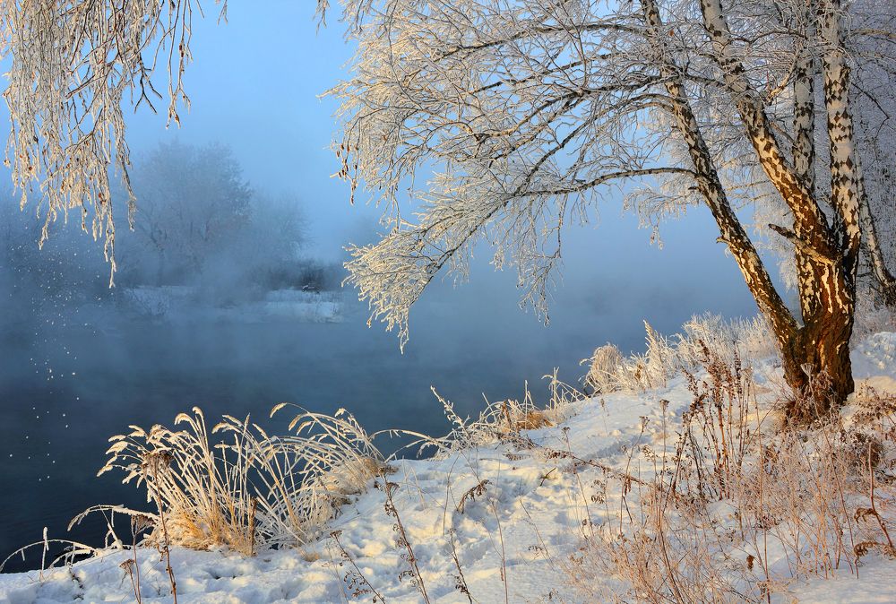 Фотография автора Кухта Мария