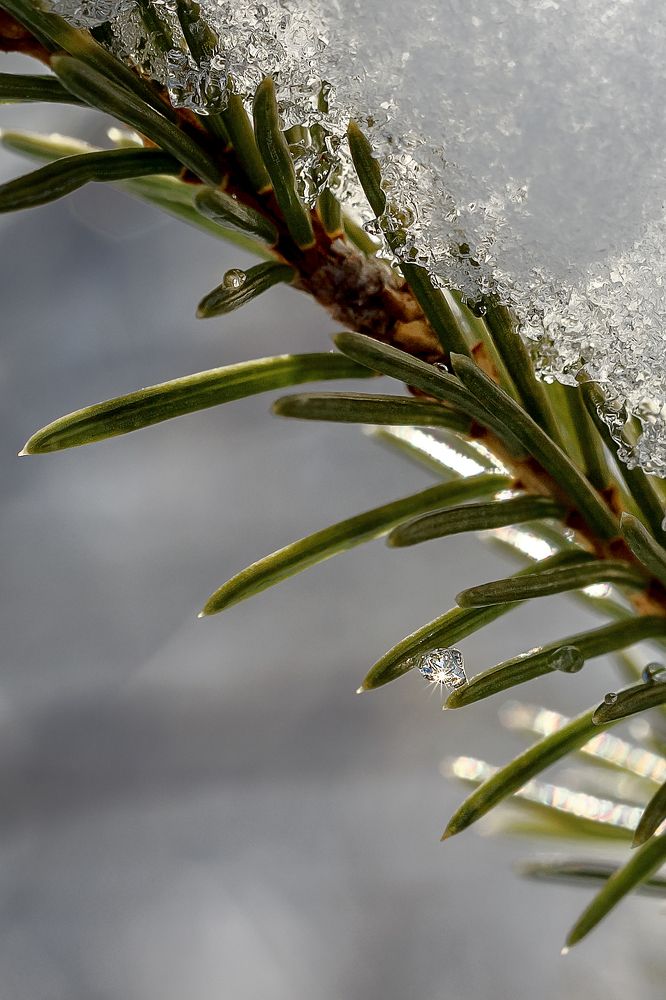 Photograph by Александр Слепцов