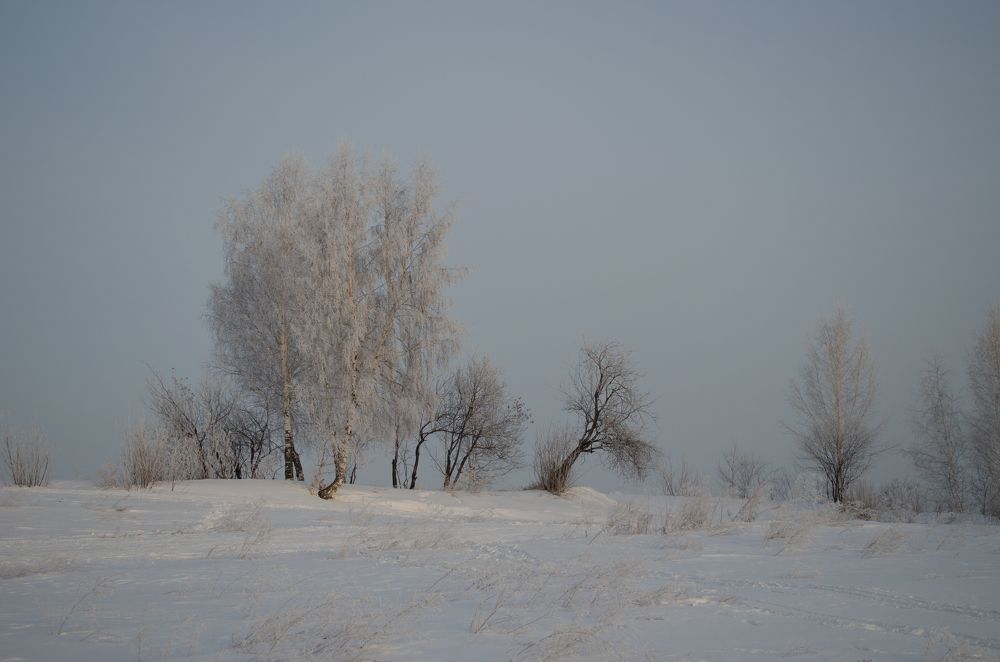 Photograph by Евгений Ошитко