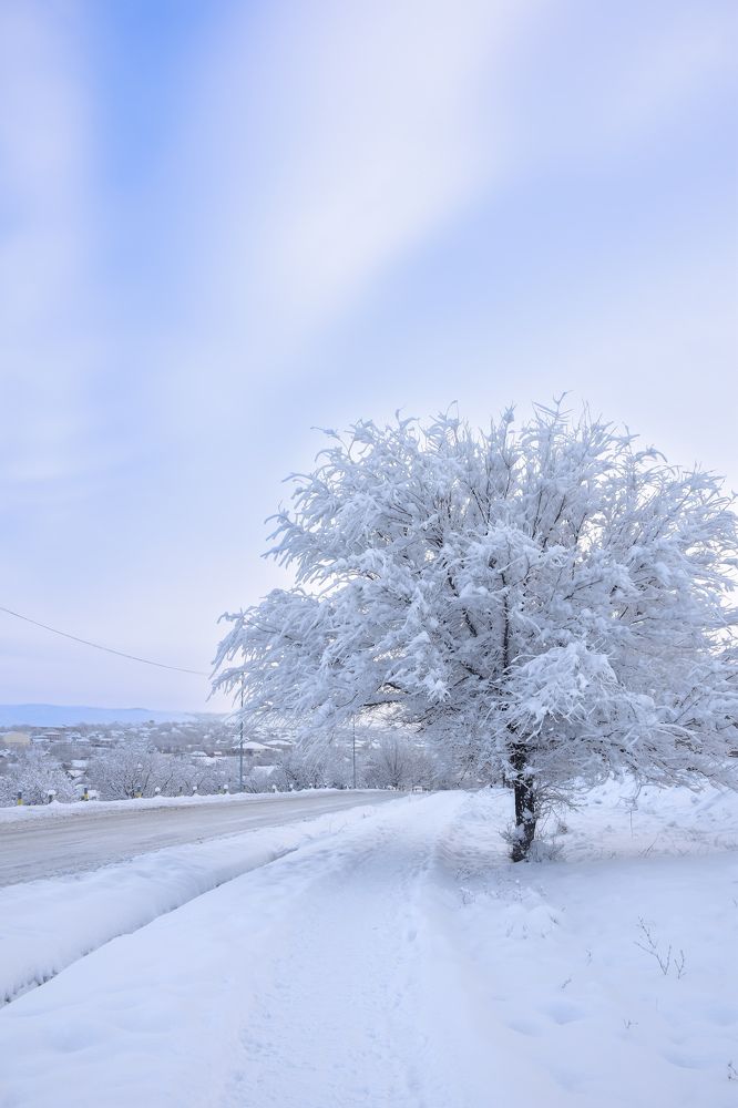 Photograph by Валентина