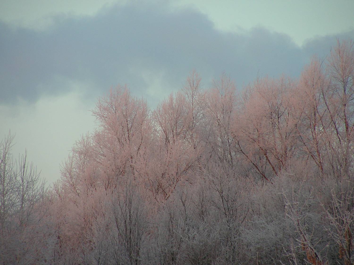 Photo #8484869