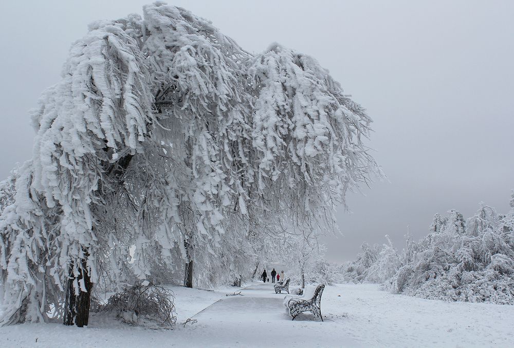 Photograph by Сергей