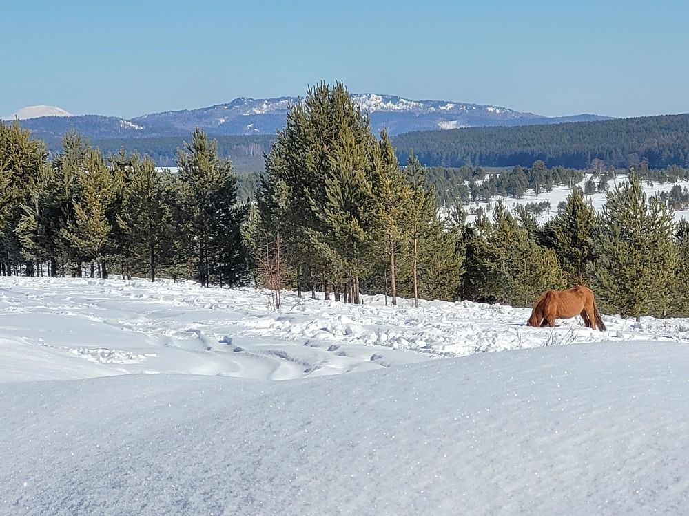 Photograph by Кайгородцев Артем