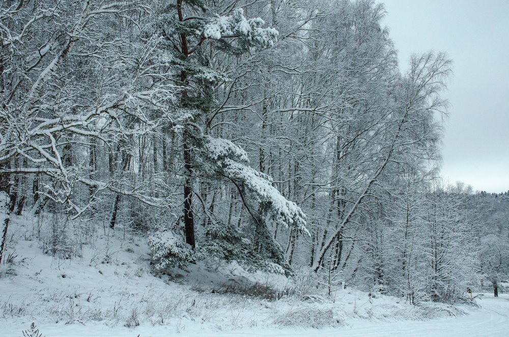 Photograph by Михаил