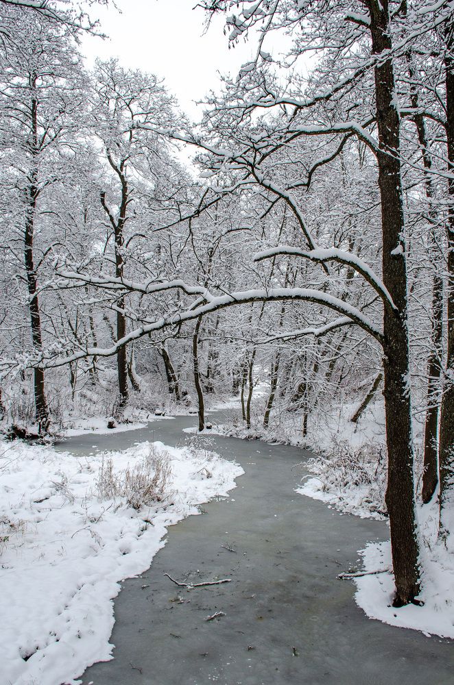 Photograph by Михаил