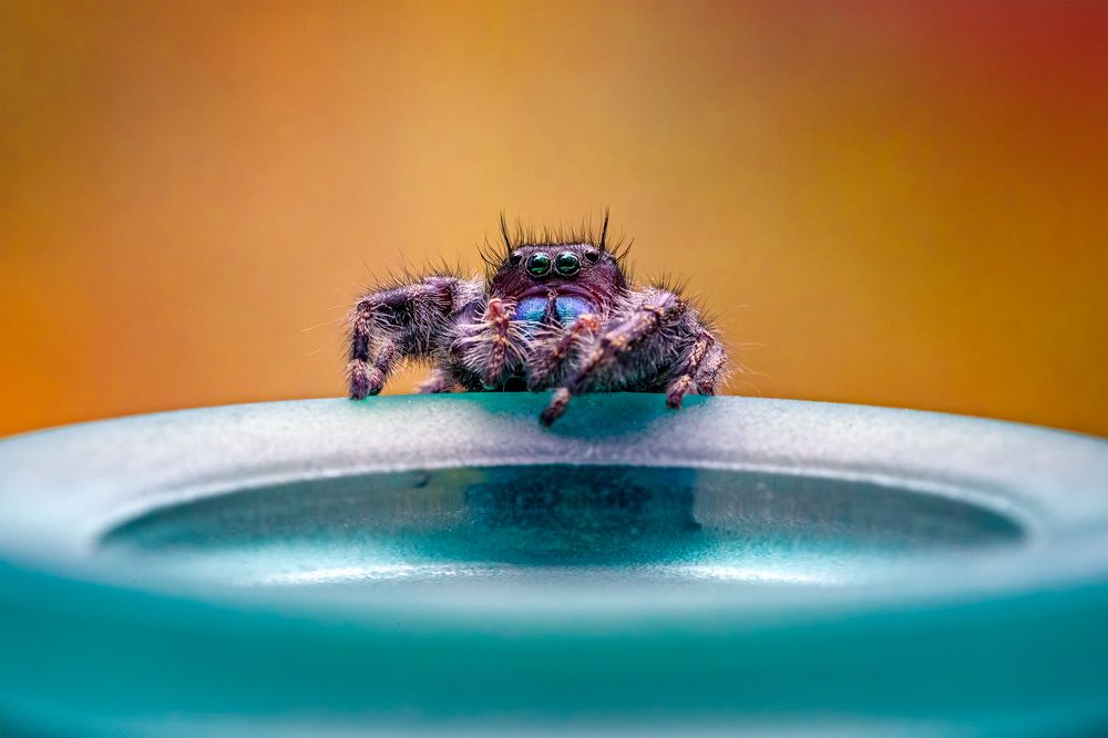 Photograph by Zhenhuan Zhou