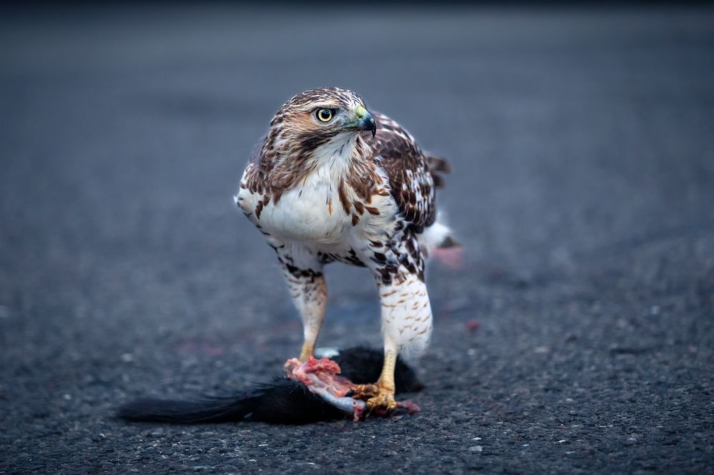 Photograph by Zhenhuan Zhou