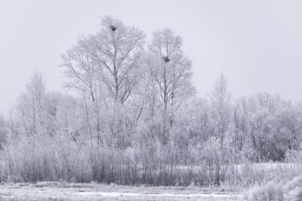 Photograph by 