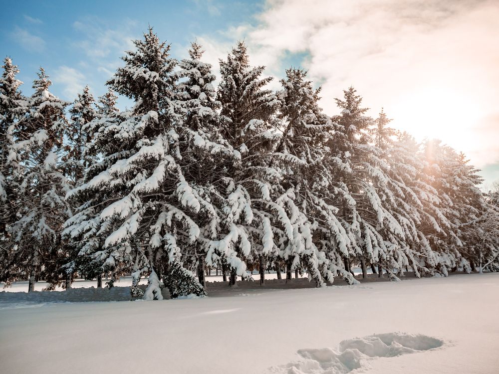 Photograph by Наталья Гордина