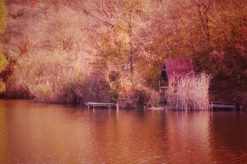 Photograph by Екатерина Игоревна