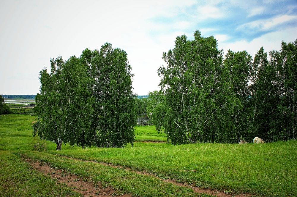 Photograph by Владимир Сушкин