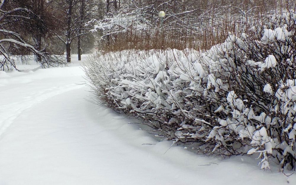 Photograph by Серега Вартман