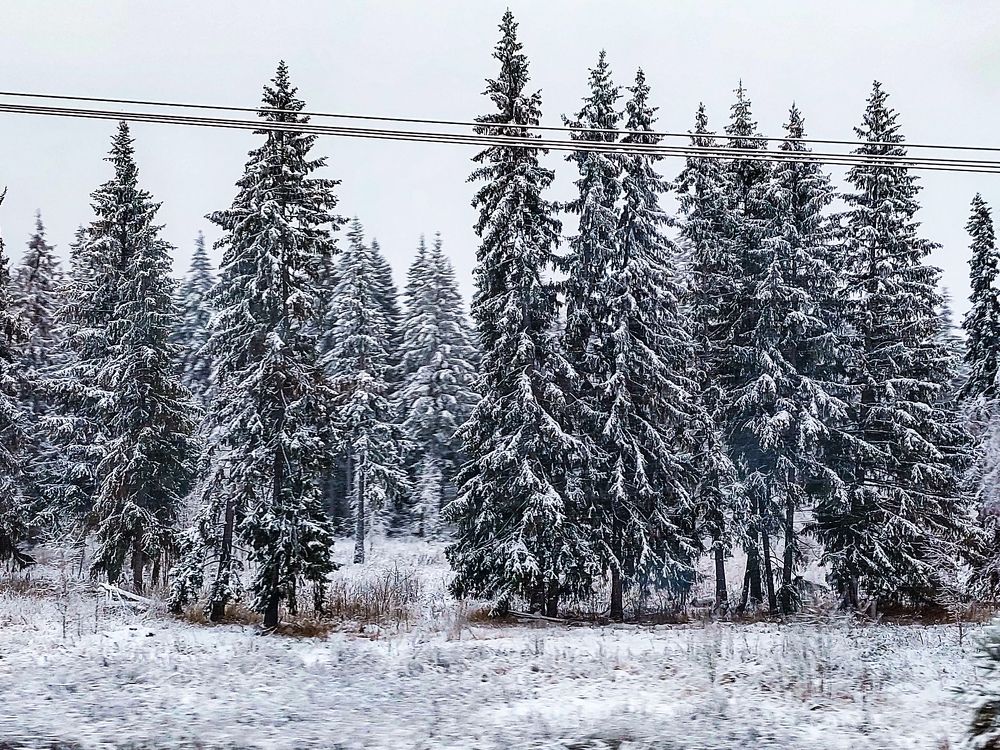 Photograph by Елена Жеребцова