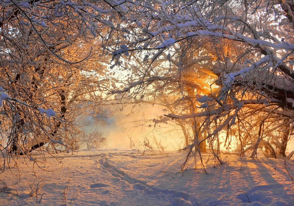 Photograph by Кухта Мария