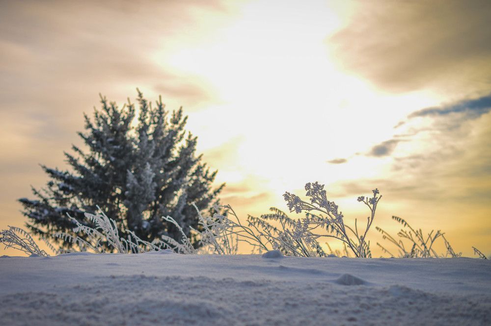 Photograph by Евгения Булавко