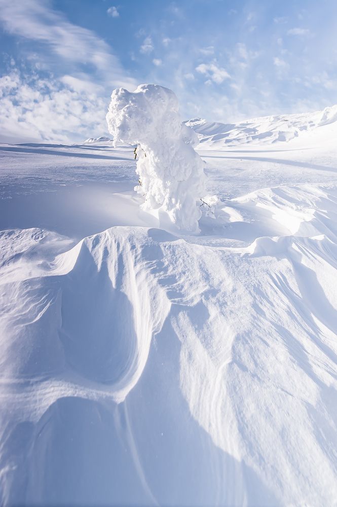 Хранитель леса