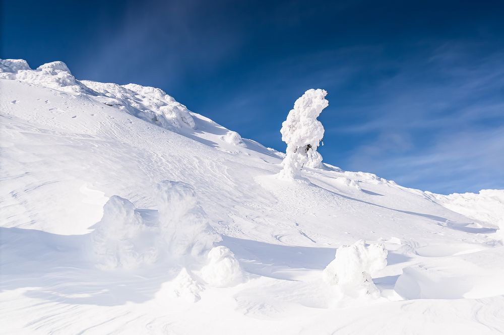 Зимний пейзаж