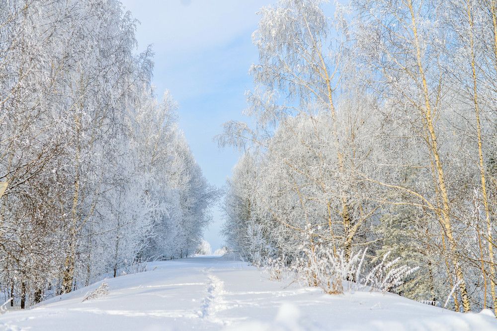 Photograph by Евгения Булавко