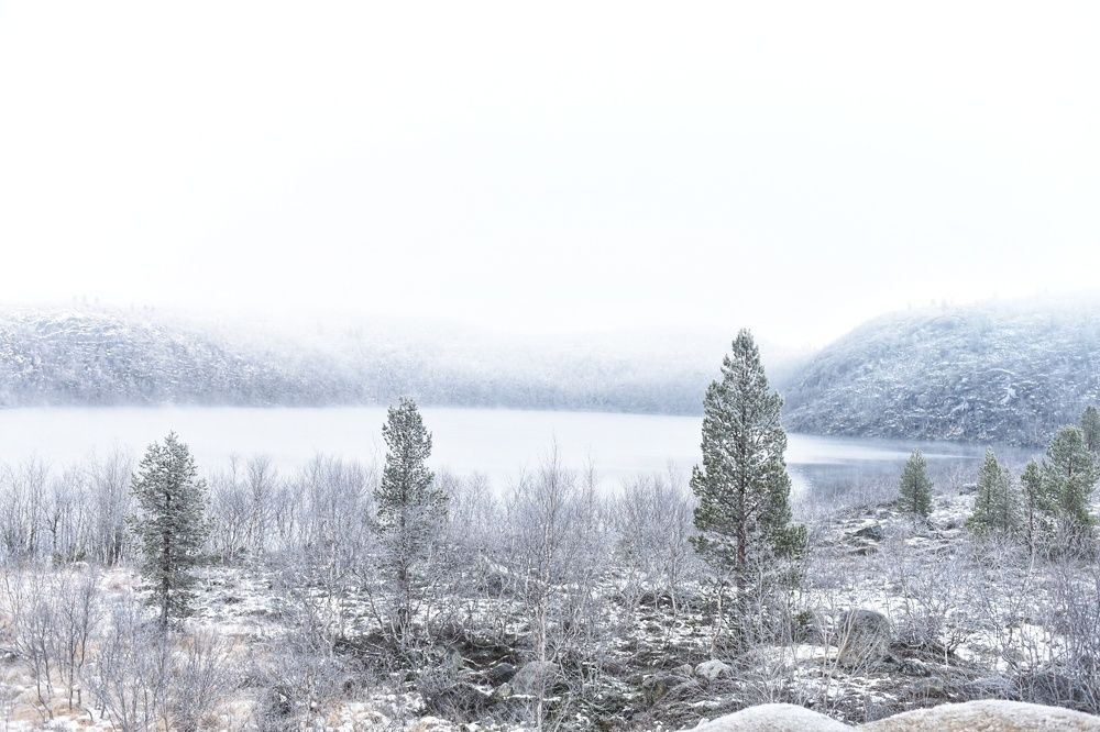 Photograph by Надежда Веденеева
