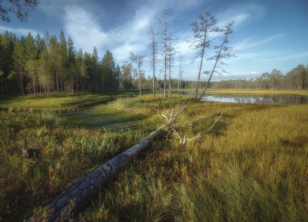 Photograph by Павел Дунюшкин