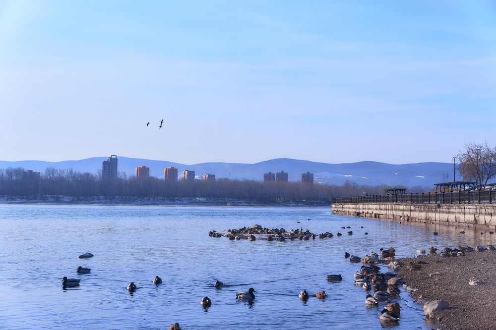 Photograph by Александр Пургин