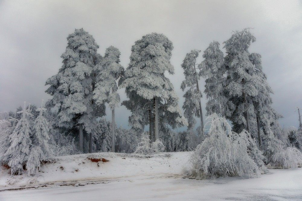 Photograph by Сергей Афанасьев