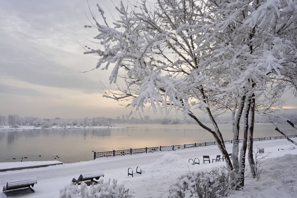 Photograph by Александр Пургин