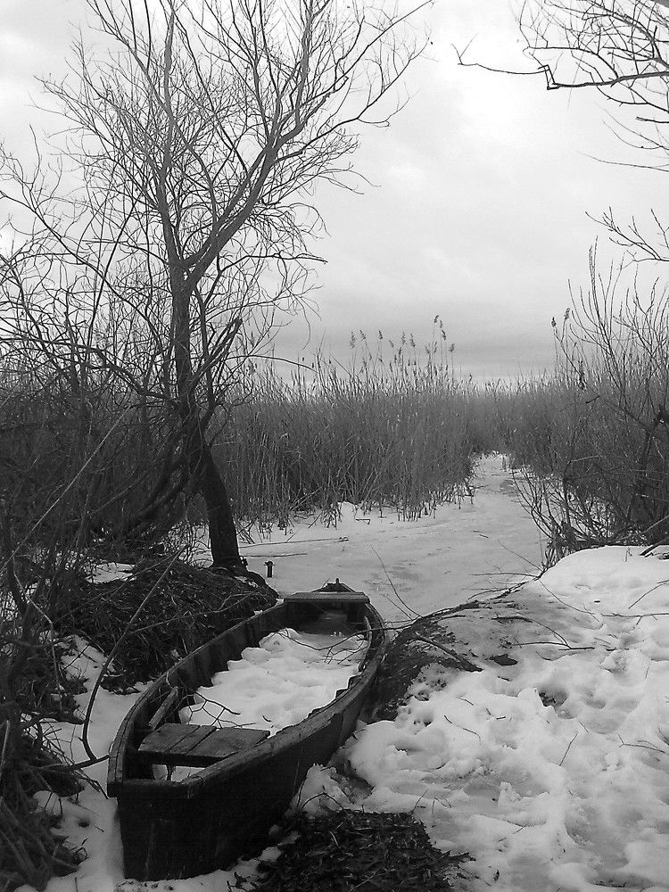 Photograph by Дмитрий Соколов