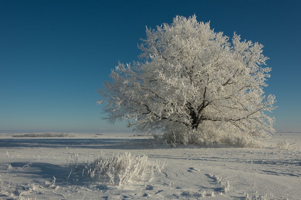 Photograph by Наталия Брянцева