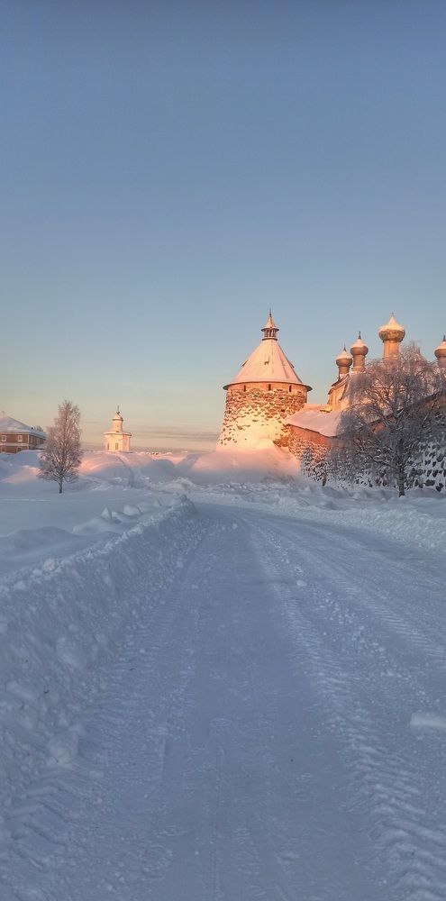 Photograph by Елена Алсуфьева