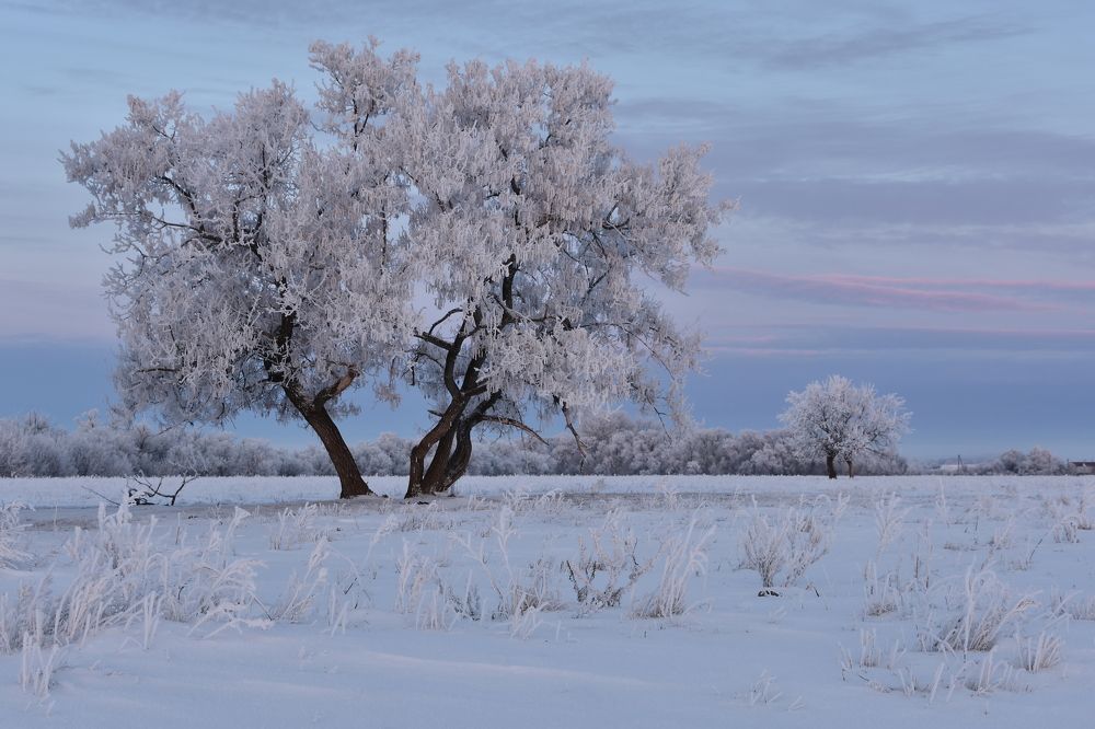 Photograph by Наталия Брянцева