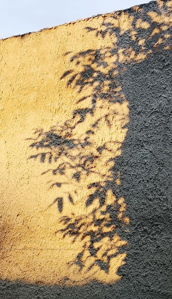 Photograph by Nikolett Mengyi