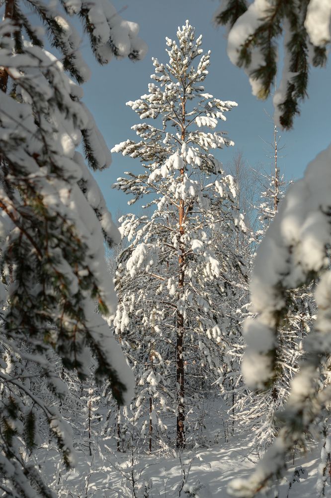 Photograph by Александр Слепцов