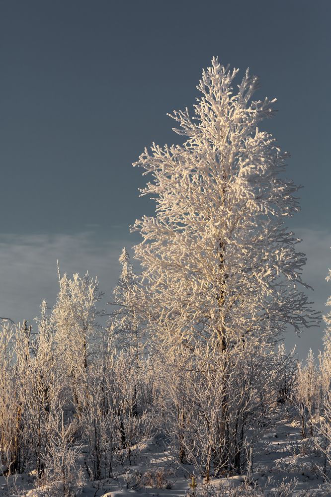 Photograph by Александр Слепцов